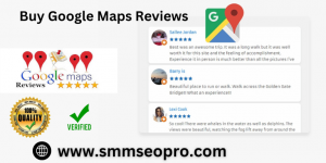 Buy Google Maps Reviews
